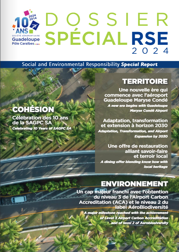 Aéroport Guadeloupe Maryse